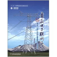 青藏電力聯網工程·專業卷：柴達木-拉薩±400kv直流輸電工程科技攻關