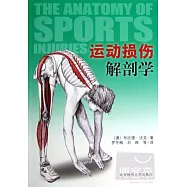運動損傷解剖學