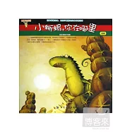 小蜥蜴，你在哪里：沙漠