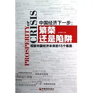 中國經濟下一步︰繁榮還是陷阱——觀察中國經濟未來的15個維度