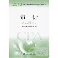 2013 審計