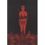 燃燒的男孩(新版)