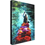 史蒂夫&middot;麥凱瑞作品精選