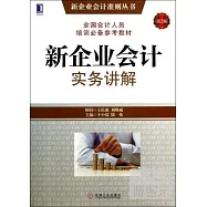 新企業會計實務講解(第2版)