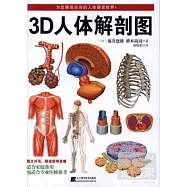 3D人體解剖圖