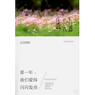 那一年，我們愛得閃閃發光