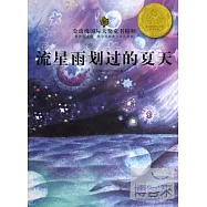 流星雨划過的夏天