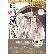 敗絮藏金玉(上卷)