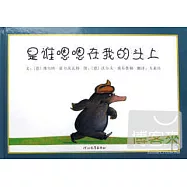 啟發精選世界優秀暢銷繪本：是誰嗯嗯在我的頭上