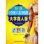 標准經絡穴位圖譜(大字真人版)