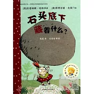 石頭底下藏著什麽?