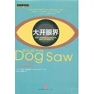 大開眼界：用另一雙眼睛看透這瘋狂世界、奇妙生活和美麗人生