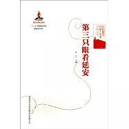 第三只眼看延安