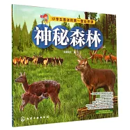 小學生著迷的第一堂自然課：神秘森林