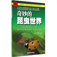 奇妙的昆蟲世界