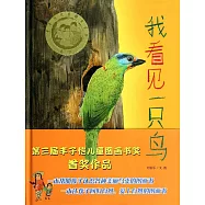 我看見一只鳥