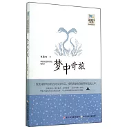 夢中奇旅