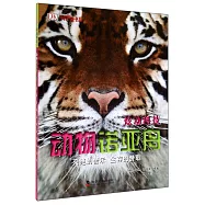 炫動科技·動物諾亞舟