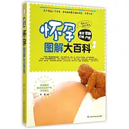 懷孕圖解大百科