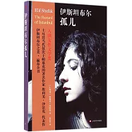 伊斯坦布爾孤兒