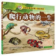 爬行動物的一生