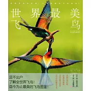 世界最美飛鳥