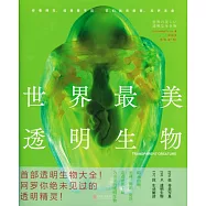 世界最美透明生物
