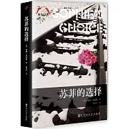 蘇菲的選擇