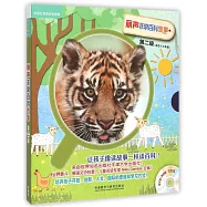 麗聲非常百科故事(第二級)(全五冊)