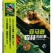 亞馬遜森林的故事