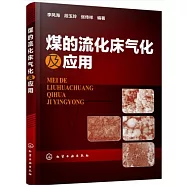 煤的流化床氣化及應用