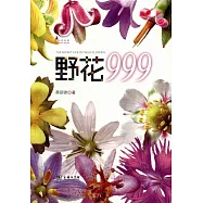 野花999