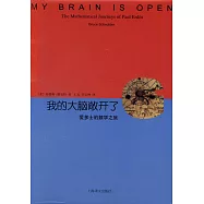 我的大腦敞開了：愛多士的數學之旅