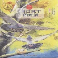 九色鹿·兒童文學名家獲獎作品系列：飛過城市的野鴿