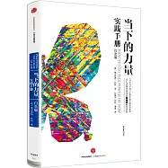 當下的力量實踐手冊(白金版)