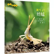 生命的故事：誕生了!蚱蜢