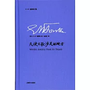 天使不敢涉足的地方