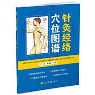 針灸經絡穴位圖譜