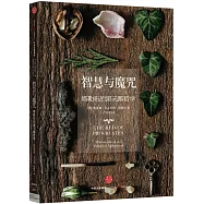 答案之書：塔勒布的黑天鵝哲學