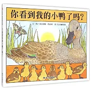 你看到我的小鴨了嗎?