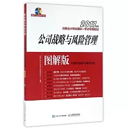 2017年度注冊會計師全國統一考試專用教材：公司戰略與風險管理(圖解版)