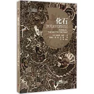 化石：洪荒時代的印記