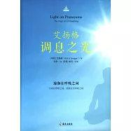 艾揚格調息之光