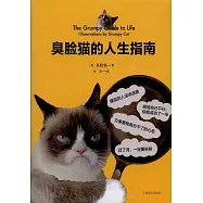臭臉貓的人生指南