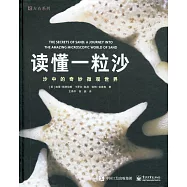讀懂一粒沙：沙中的奇妙微觀世界