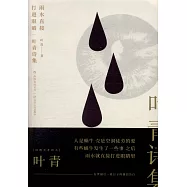 雨水直接打進眼睛：葉青詩集