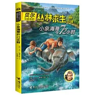 小象海蒂的72小時