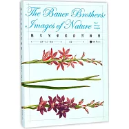 鮑爾兄弟的自然畫冊