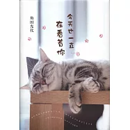 今天也一直在看着你