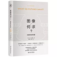 圖像何求：形象的生命與愛